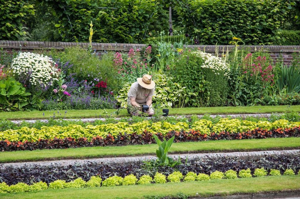 Ons team Prachtige bloeiende tuin in Uden onderhouden door professionele hovenier met groene planten